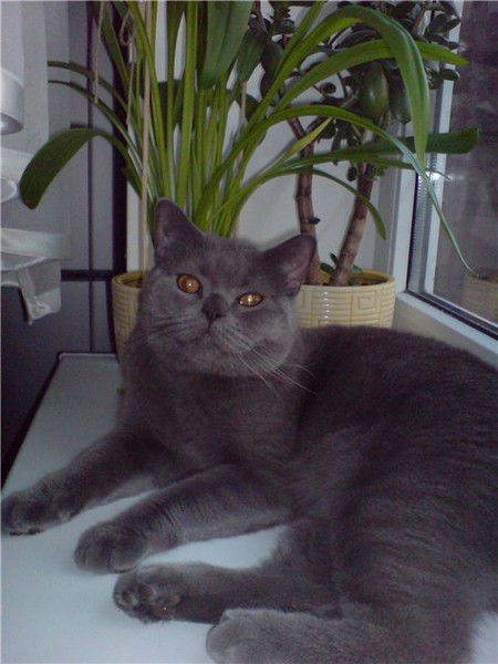 Светлана Дорощенко