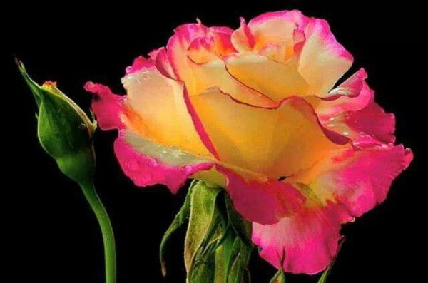 Лариса Хайбуллина