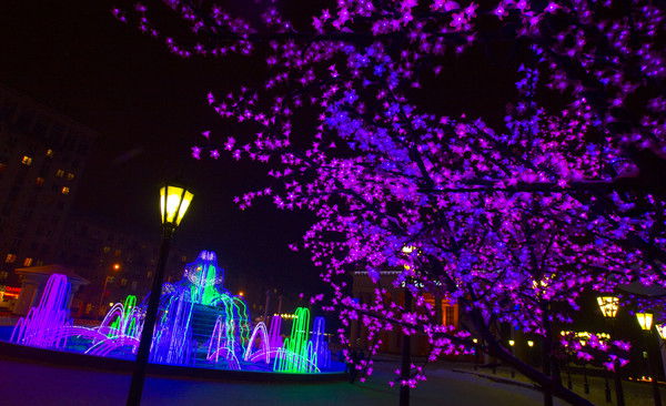 Екатерина Костычева