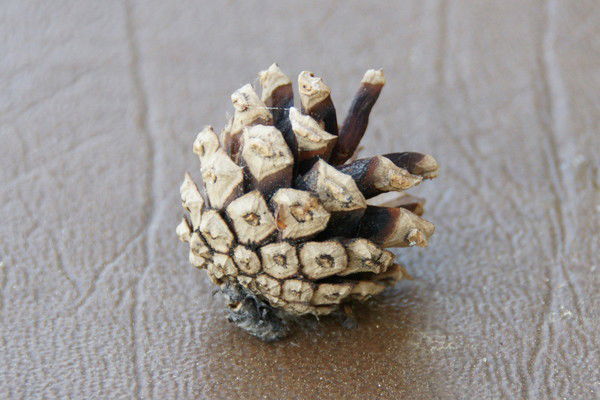 Неизвестно Неизвестно