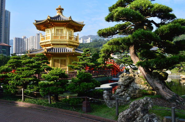 Айман Назарбекова