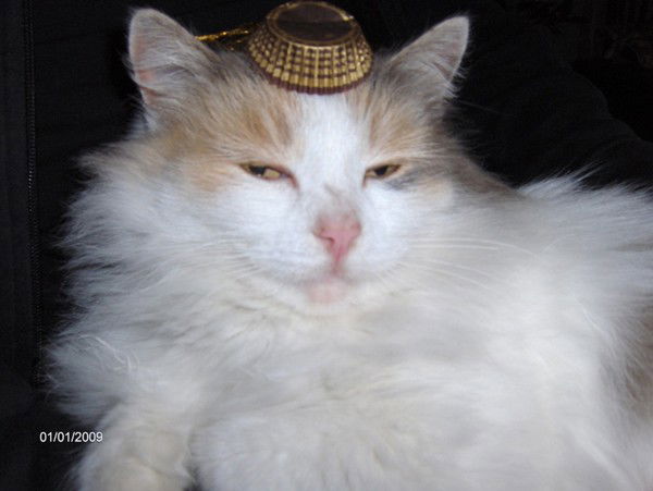 Галина Хурсанова