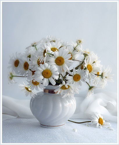 Наташа Муртазина