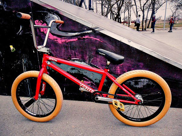 Милый Челкастик