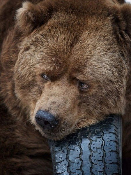 Дмитрий Юшин