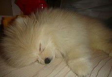 Татьяна Адайкина