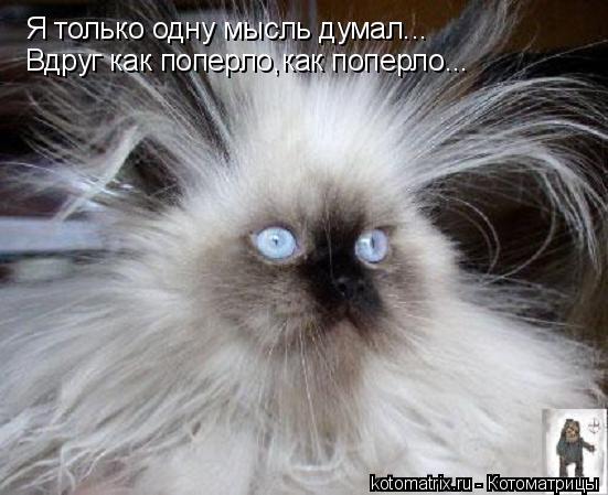 Светлана Волегова