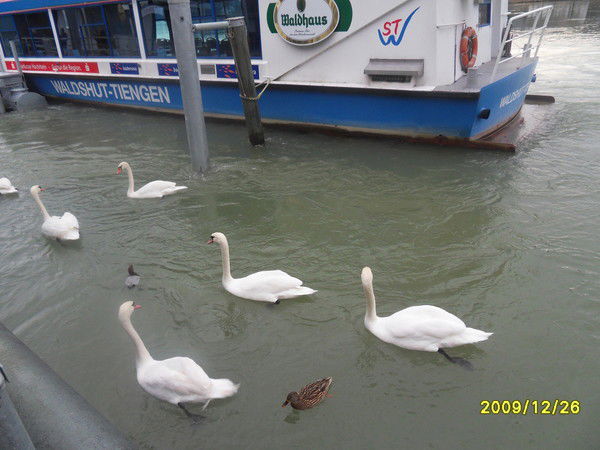 Viktor , Ludmila Lenz