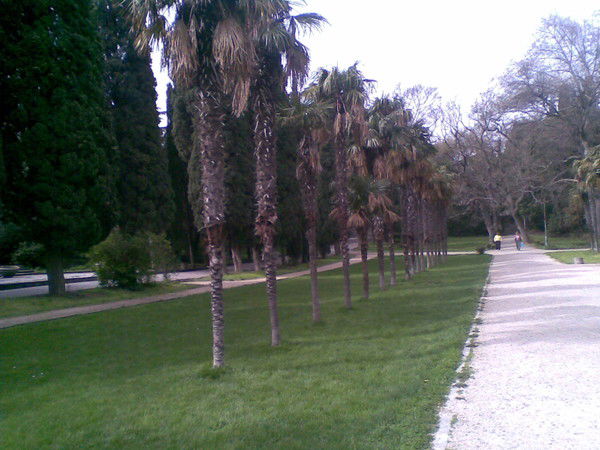 Оксана Мутьева