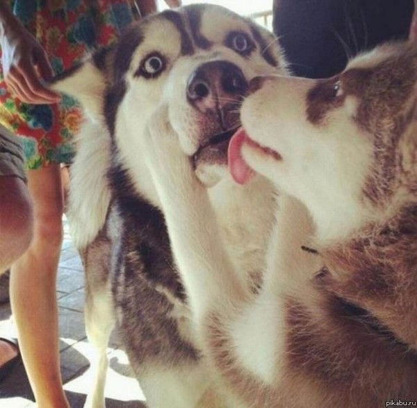 Саша Долгонов