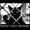 Александр Соловьёв
