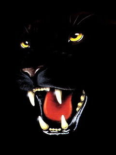 Я Ангел На Метле