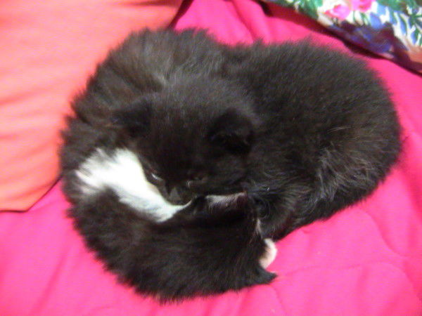 Женя Пронин