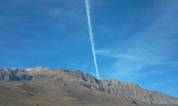 Зая Зайкина