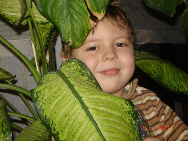 Максим Демянишин