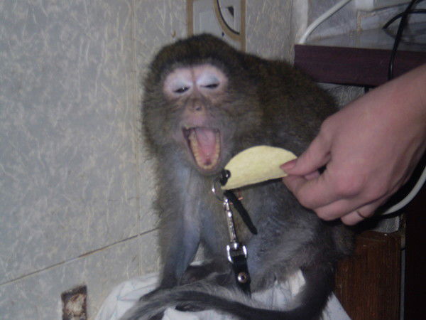 Михаил Кудин