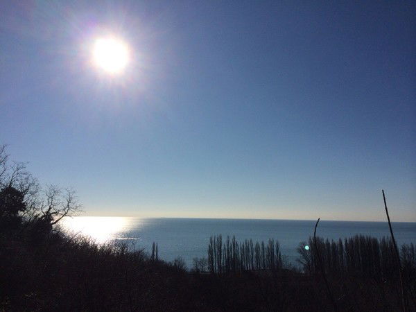 Александр Чирухин