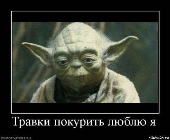 Денис Заноза