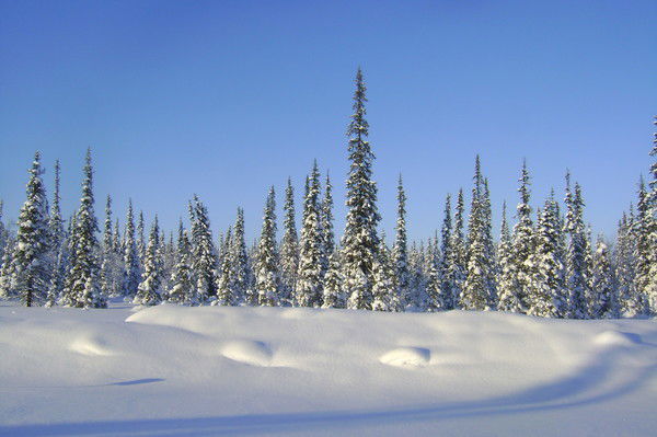 Наиль Гатауллин