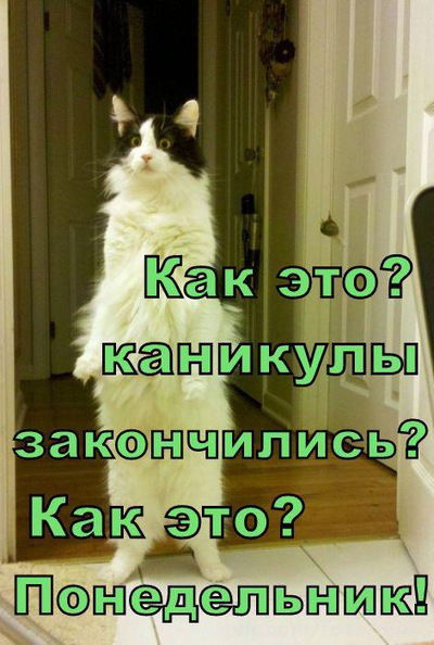 Анастасия Иванцова