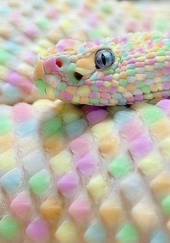 Ирина Ирина