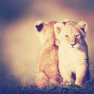 Мурад Исмаилов