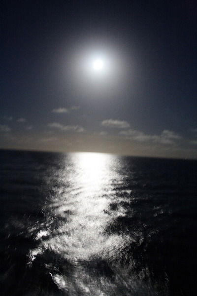 Светлана Андросова