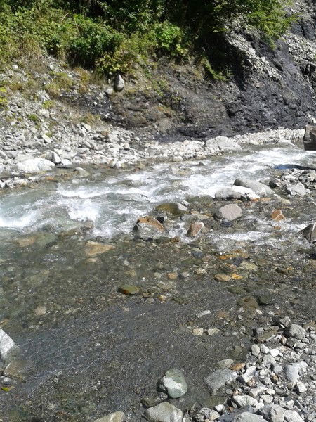 Лабина Ольга