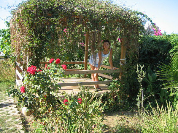 Надежда *****