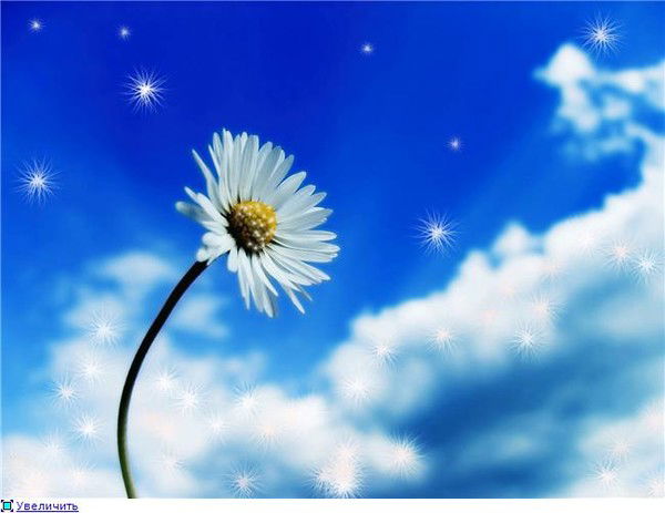 Viktoriya Виктория