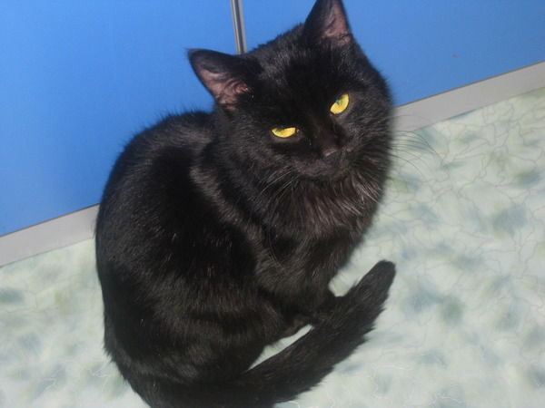 Андрей Княжев