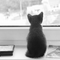 Таня Клементьева