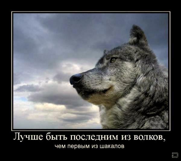 Мухаммедарыстан Тусупов