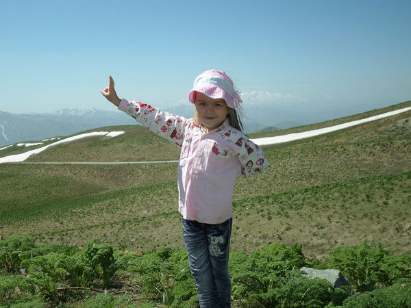 Алена Герасимова-Никишкова