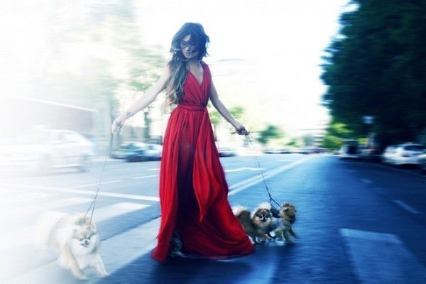 Шаттык Мухаммед