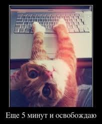 Дима Ищенко