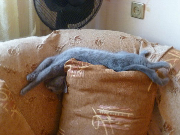 Марина Колчанова