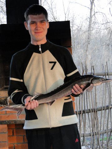 Владимир Корякин