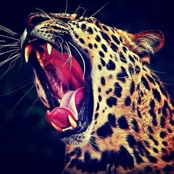 Ирина Федорова