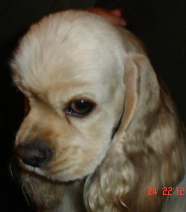 Любовь Захарова