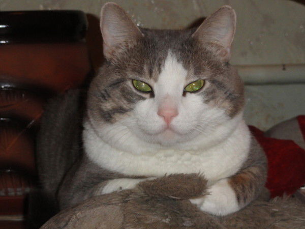 Надежда Морозова