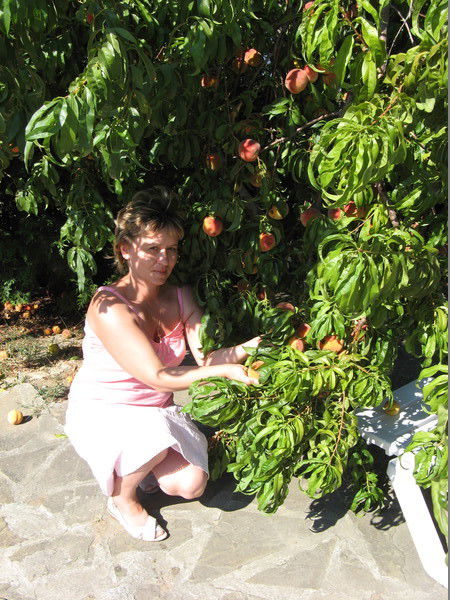 Елена Грохотова