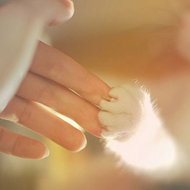 Анна Масленковская