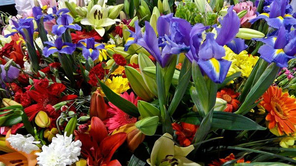 Алимбетовка Амбулатория