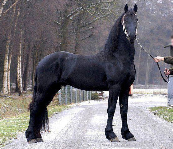 Бахыт Абдувалиев