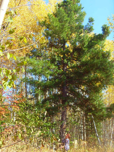 Галина Михайловна Тоскина