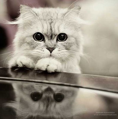 Катя Булаткина