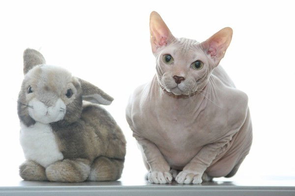 Вячеслав Бойков