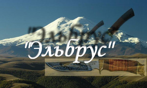 Татьяна Бойкова