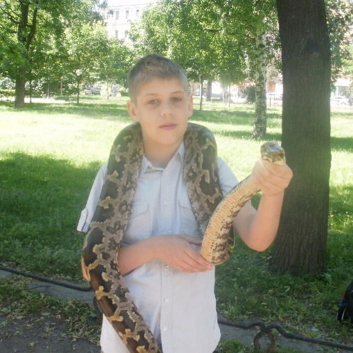 Дмитрий Башкиров